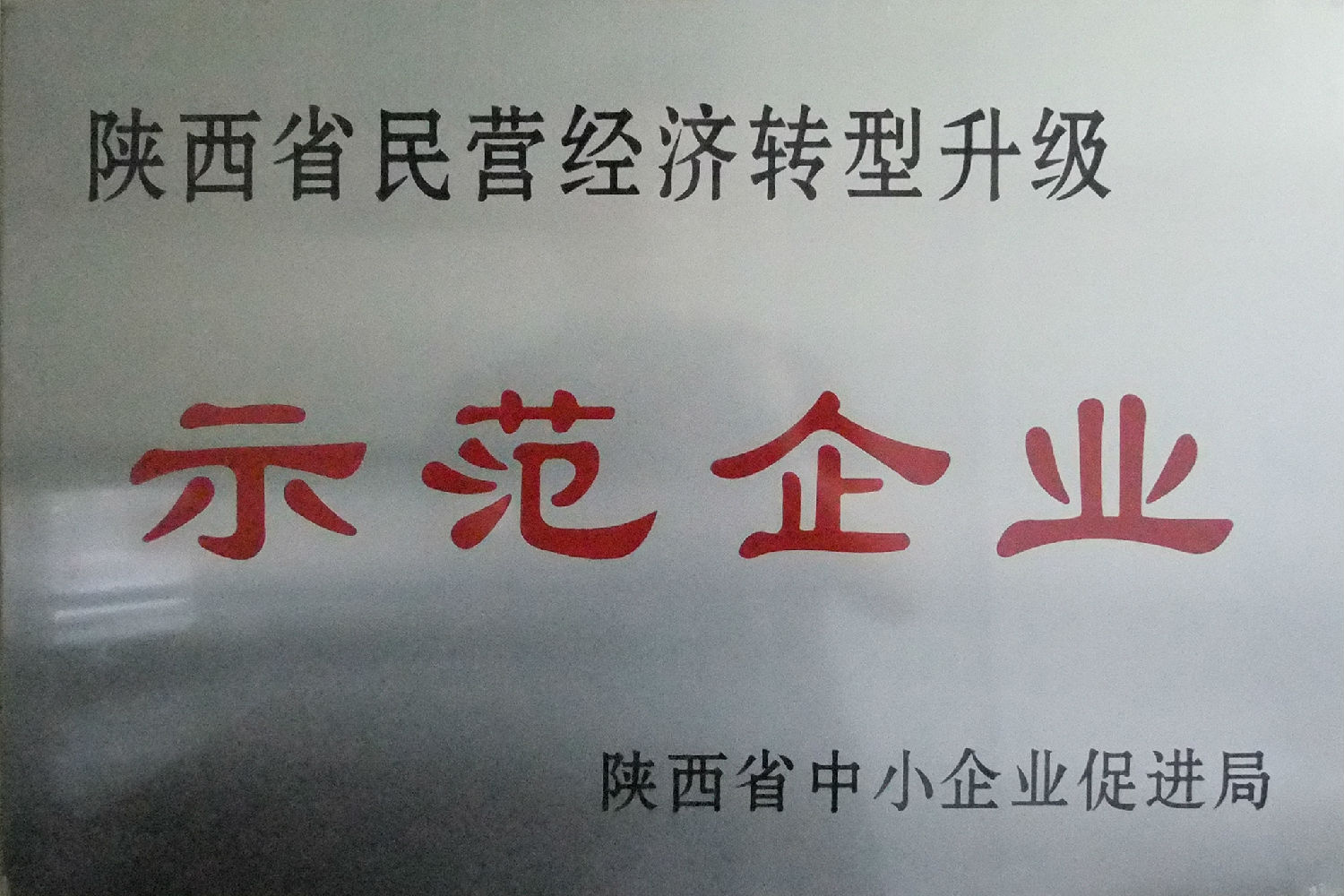 陜西省民營經(jīng)濟(jì)轉(zhuǎn)型升級(jí)示范企業(yè)